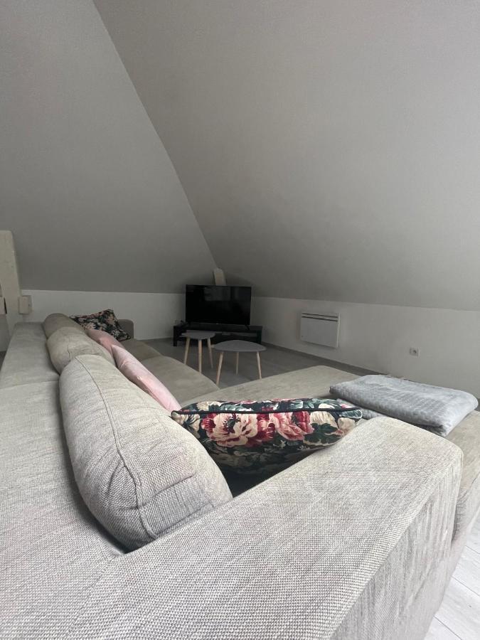 Apartament Dream Loft Colmar Zewnętrze zdjęcie